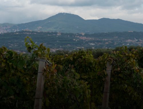 Gotto d’oro apre alla trasformazione digitale per vincere le sfide del futuro