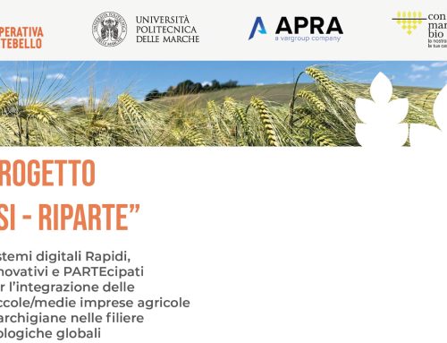 Progetto “SI – RIPARTE”: per la digitalizzazione delle PMI agricole