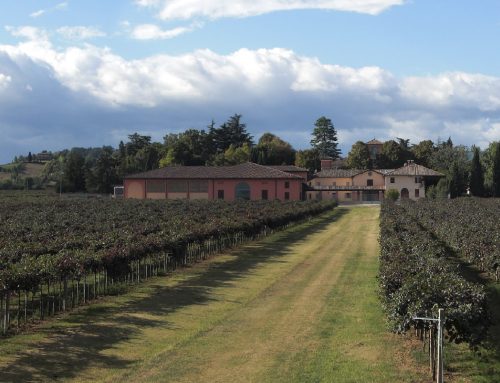 Cantina Chiarli Modena: l’evoluzione digitale che perfeziona la tradizione