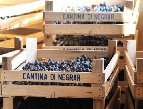 Cantina Valpolicella Negrar: una nuova visione aziendale grazie alla suite i-wine