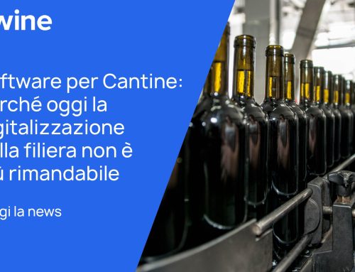 Software per Cantine: perché oggi la digitalizzazione della filiera non è più rimandabile