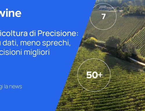 Viticoltura di Precisione: più dati, meno sprechi, decisioni migliori
