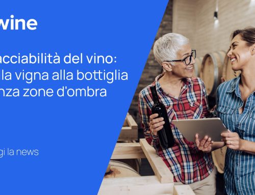 Tracciabilità del vino: dalla vigna alla bottiglia senza zone d’ombra